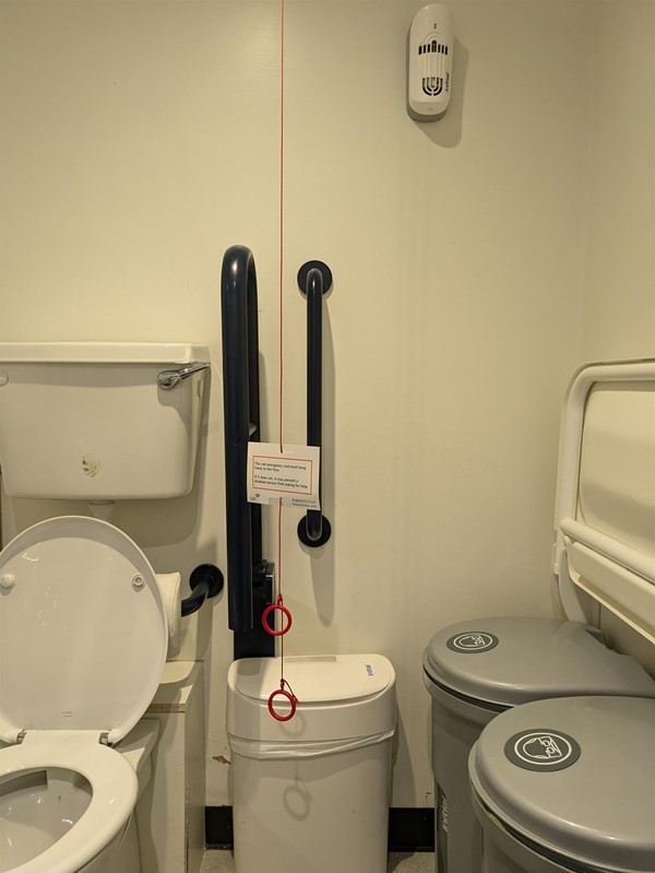 Image of accessible toilet in the  Peacock Rooms Café