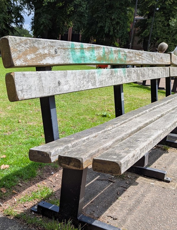 Image of bench in the centre of the park