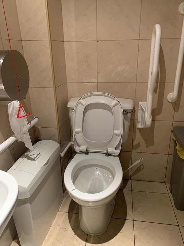 View of accessible toilet