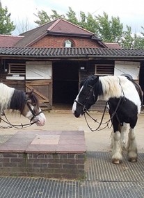 Kingsmead Equestrian Centre