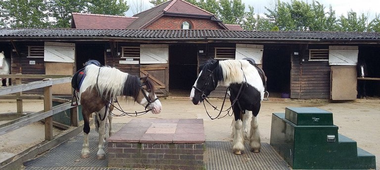 Kingsmead Equestrian Centre