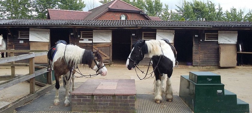 Kingsmead Equestrian Centre