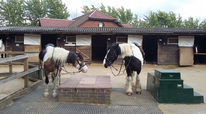 Kingsmead Equestrian Centre