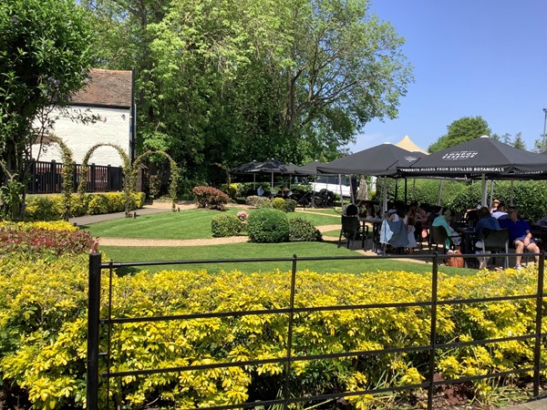 The lovely garden area,