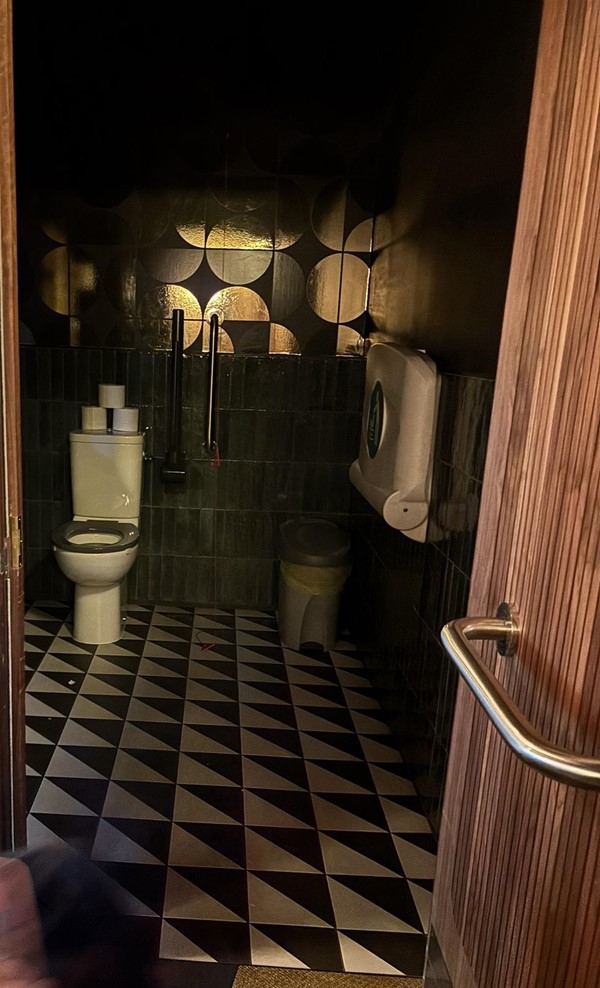 Image looking into an accessible toilet