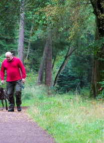 Callendar Wood