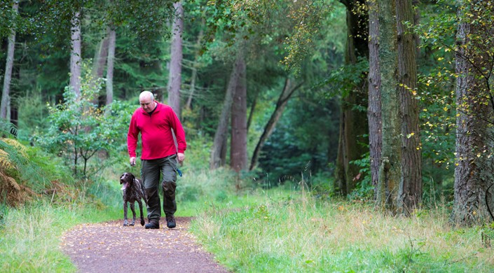 Callendar Wood