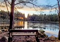 This is Plantain Loch, there are a couple of picnic benches,  lots of wildlife, a lovely spot.