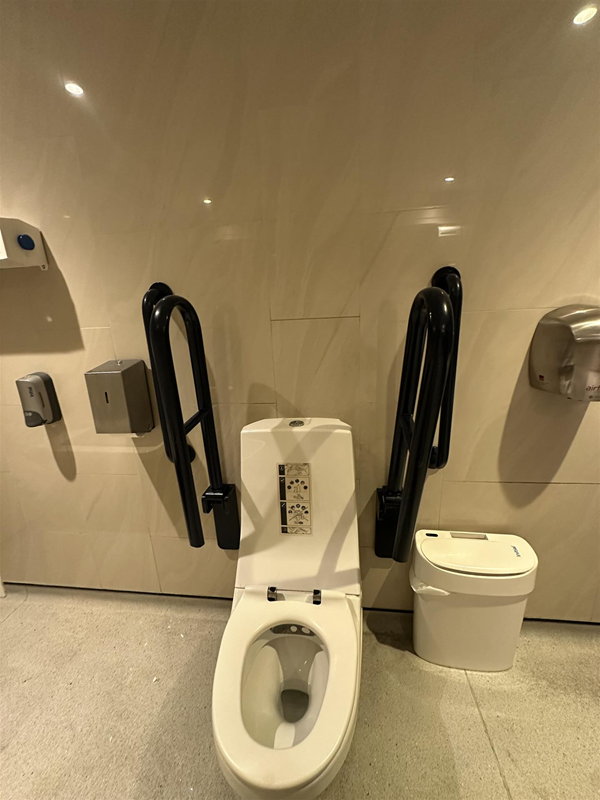 Image of toilet and small flush button with grab rails on either side