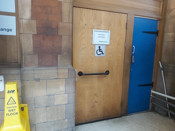 Toilet door
