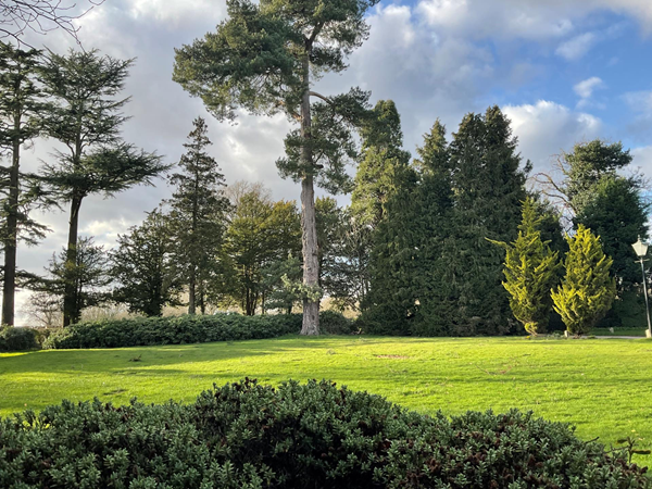 The grounds outside have been landscaped in a natural way
