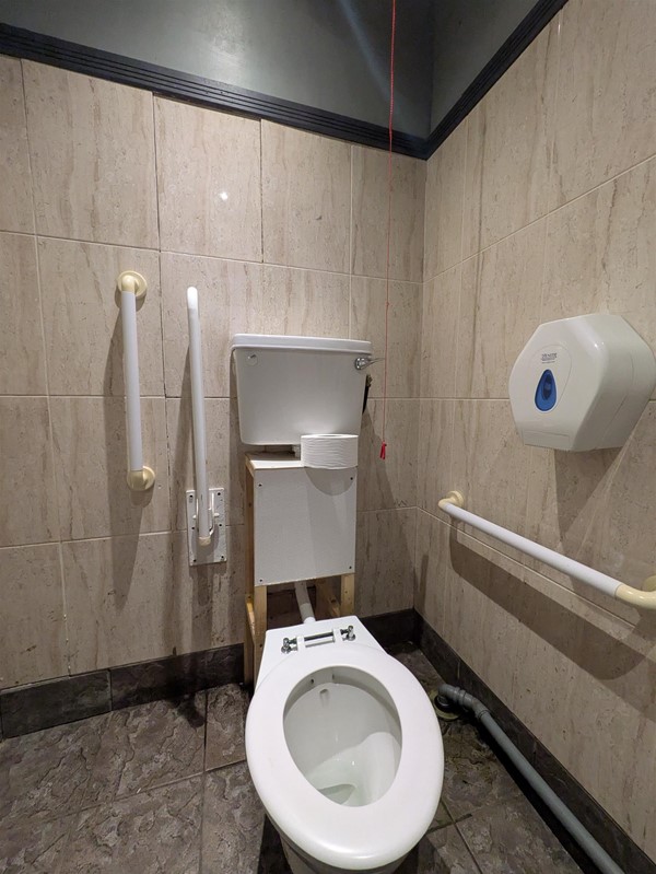 Image of toilet and grab rails