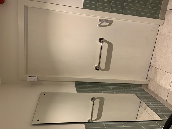 Image of the inside of the bathroom door. There is a handrail on the back of the door and it locks by lifting up the handle. There is a full-length mirror on the wall to the left of the door.