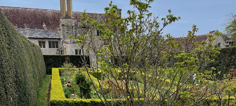 Mottistone Gardens