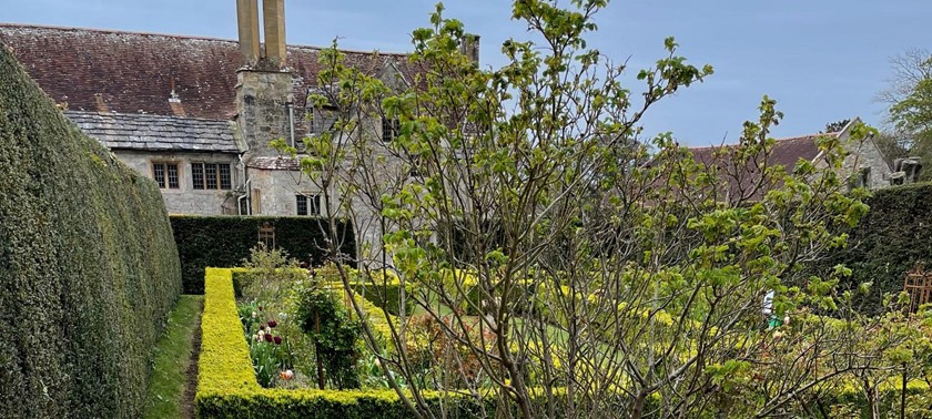 Mottistone Gardens