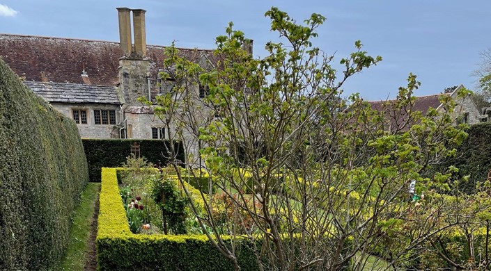 Mottistone Gardens