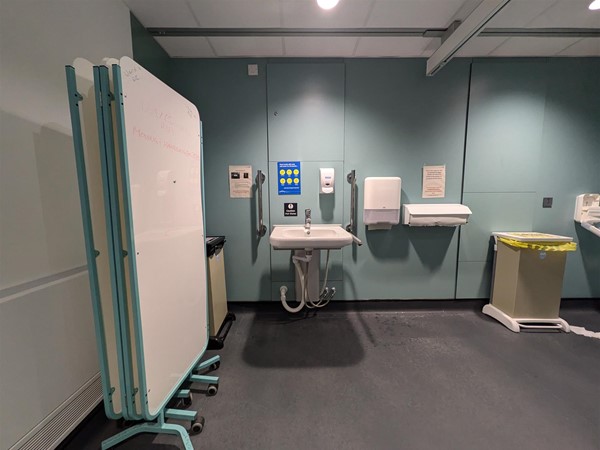 Image of adjustable sink in the Changing Places toilet