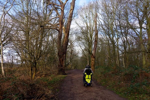 Typical path witb slight gradient and compressed soil, hence avoid wet days.