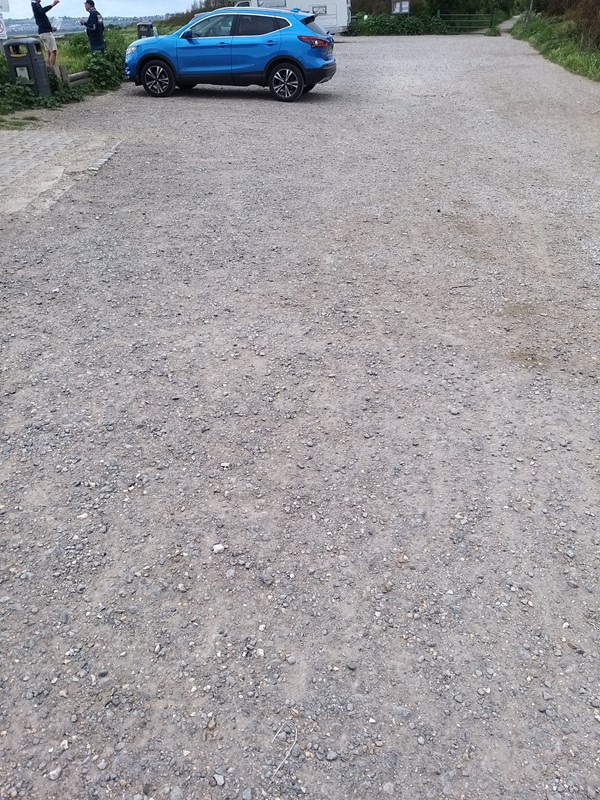 Loose large clippings in Hayling Halt car park - impossible for the GoGo Explorer mobility scooter!