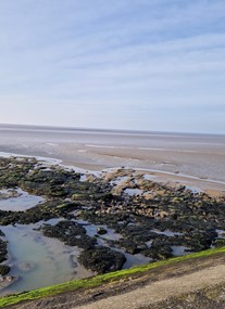 Heysham Nature Reserve