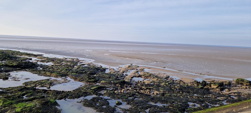 Heysham Nature Reserve