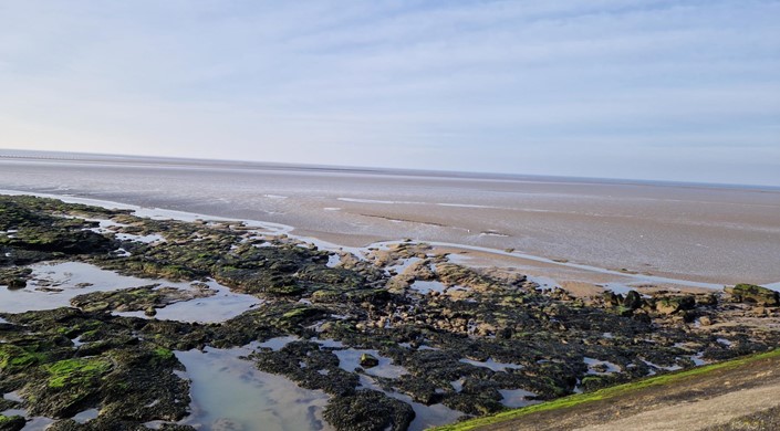 Heysham Nature Reserve