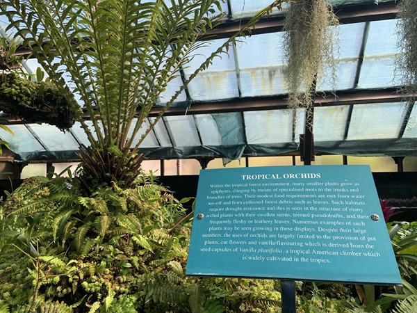 image of a teal metal sign with white text on tropical orchids with plants and glass roof in the background