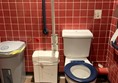 Image of toilet, red cord and handrails around the toilet