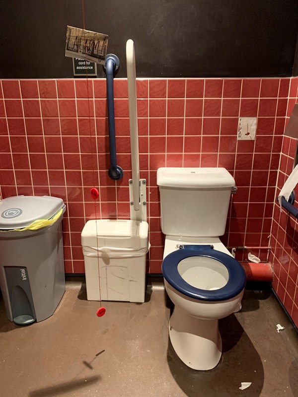 Image of toilet, red cord and handrails around the toilet