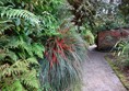 Picture of a path in a garden