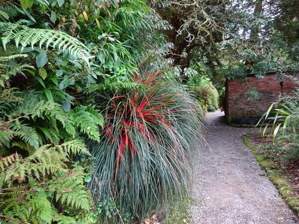 Picture of a path in a garden