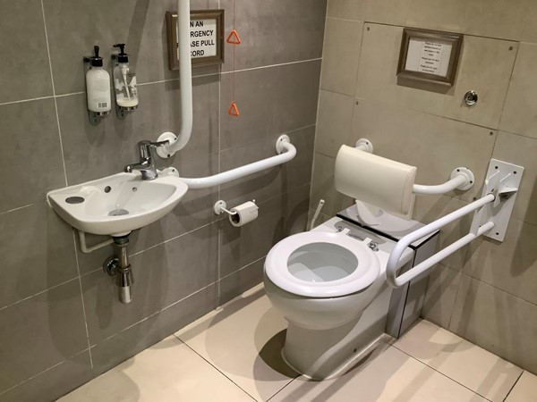Picture of an accessible toilet