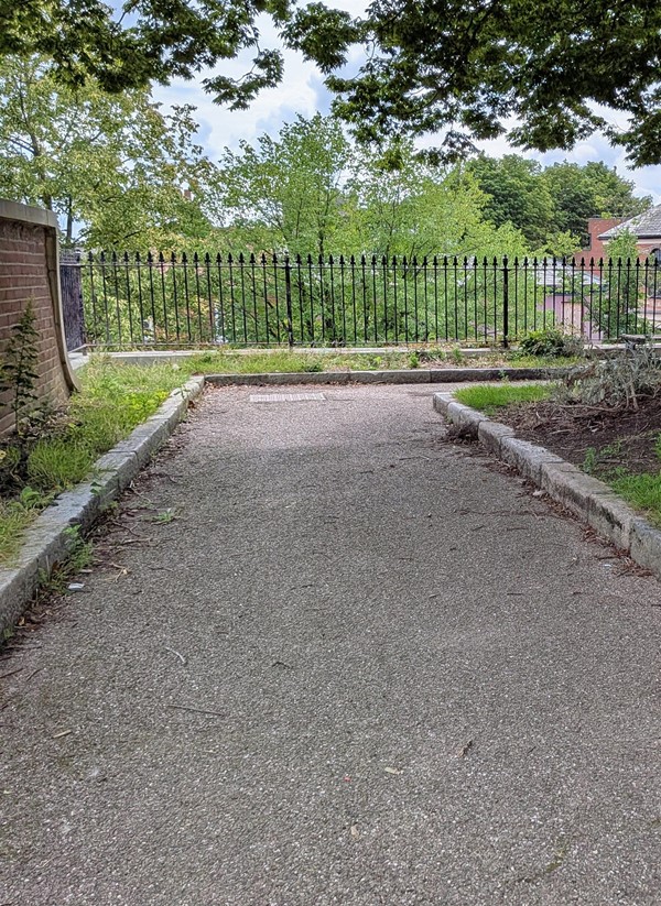 Image of pathway in the park