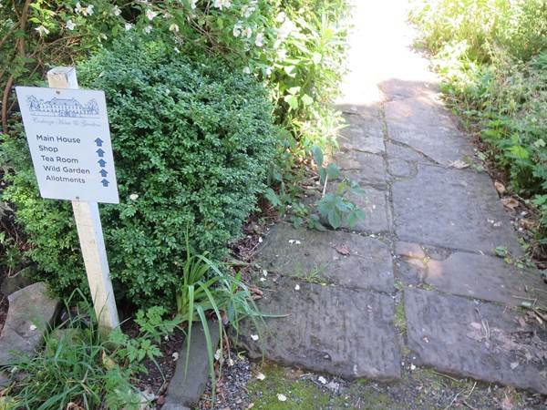 Picture of Cockenzie House and Gardens
