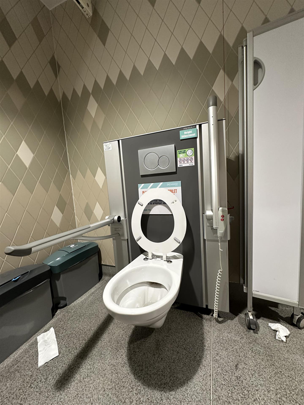 Image of height-adjustable accessible toilet