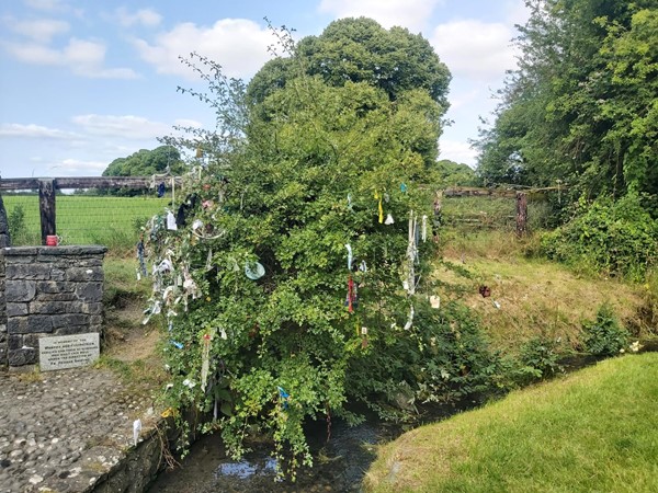 a tree