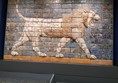 Beautiful walk mosaic of a lion.