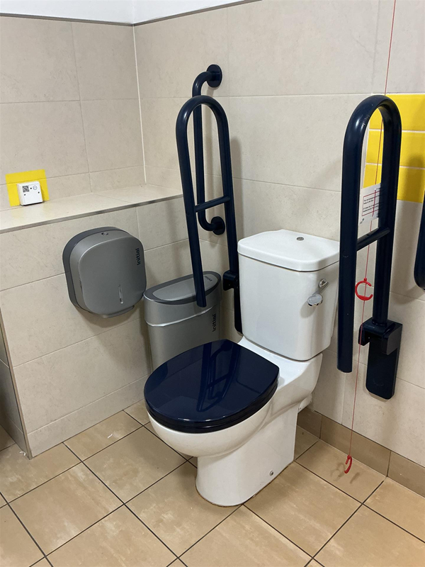 Image of an accessible toilet with grabrails