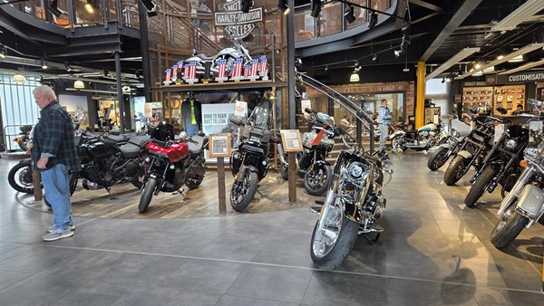 Ground floor bikes! A bit more space to manoeuvre about than it looks in this photo