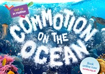 Eureka! Commotion on the Ocean🌊