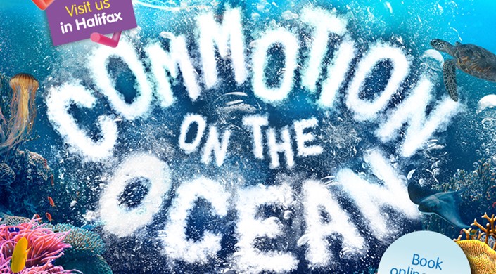 Eureka! Commotion on the Ocean🌊