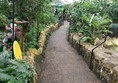 Accessible paths and bridges