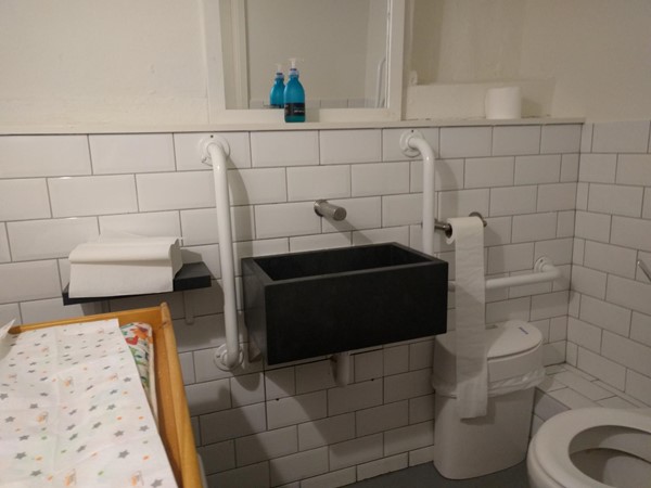 The disabled toilet as seen from the door.