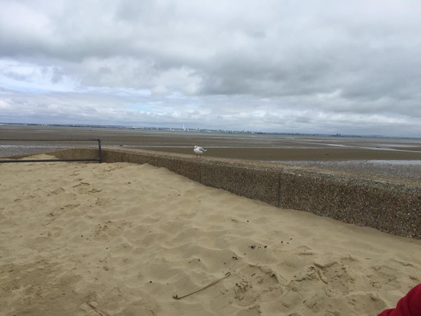 Picture of Ryde Beach - The Beach