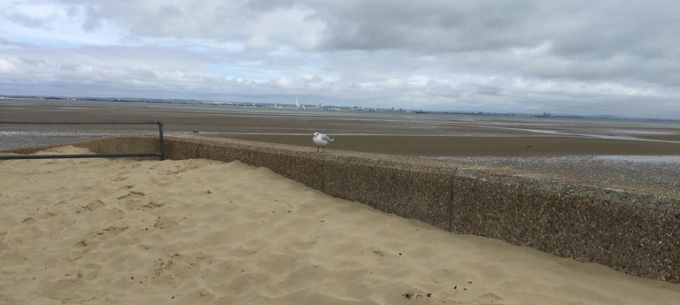 Ryde Beach