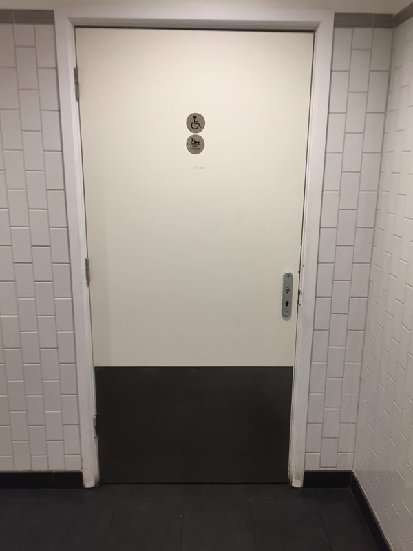 Photo of accessible loo.