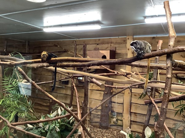 You will be able to go indoors to see many other animals