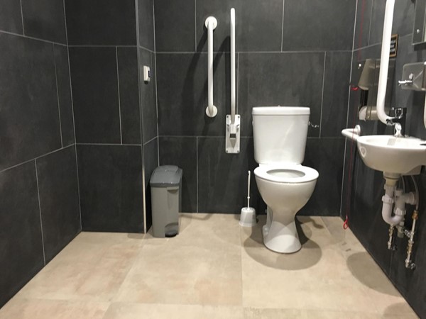 Image of the accessible toilet.