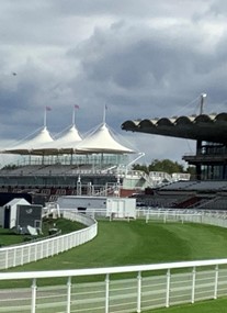 Goodwood Racecourse