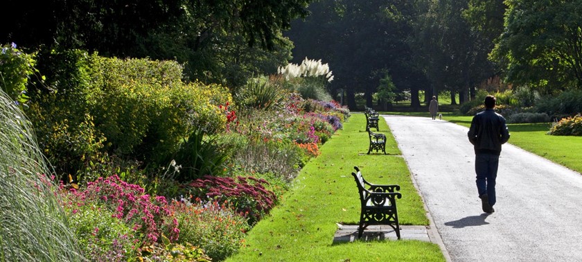 Bute Park and Arboretum